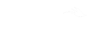 JPantano